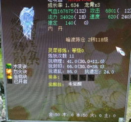 深入解析：揭秘角色Chu Xin在钓最终boss鱼龙王及其独特策略与技巧，挑战游戏新高度