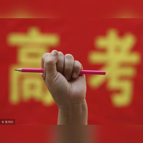 深入探索菜鸟小忍者的功法搭配策略，让你在修炼之路上事半功倍